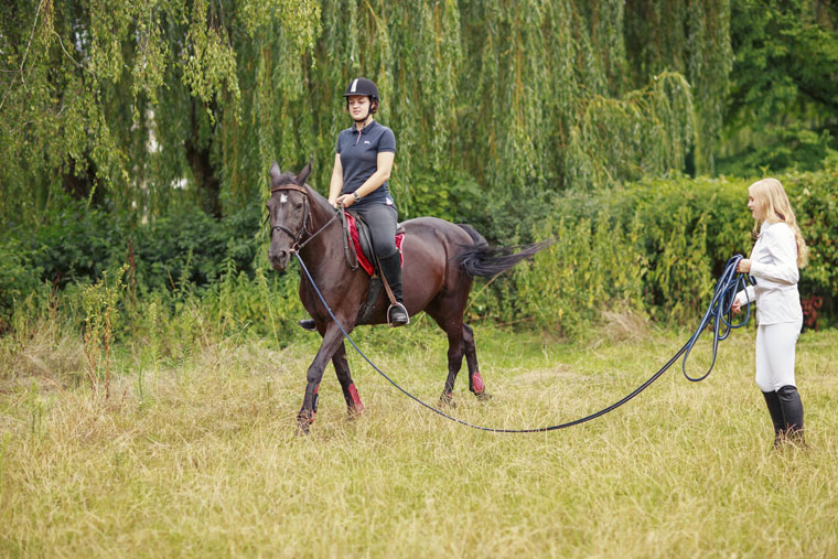 horse training schedule